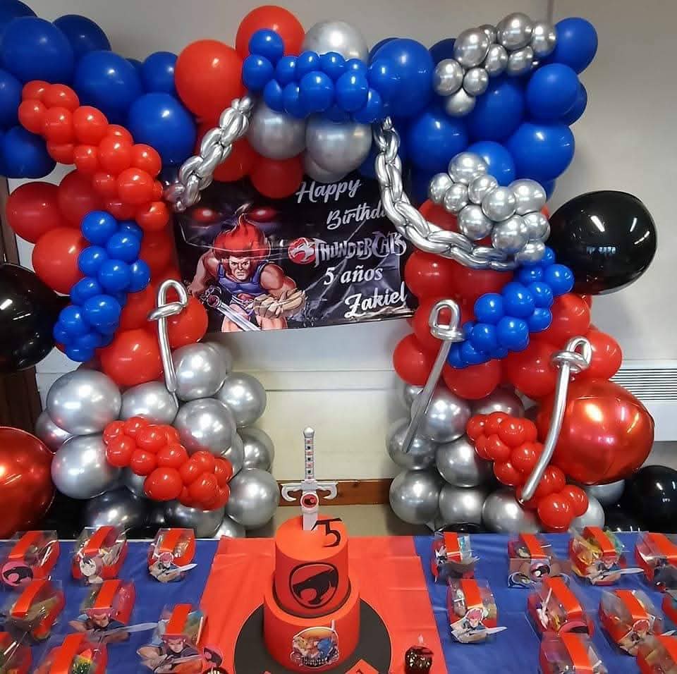 Thunder Cats birthday decoration